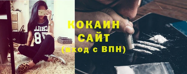сатива Верхний Тагил